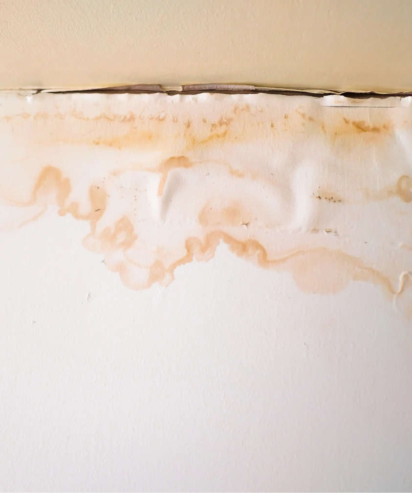 Water Damage Restoration in Lexington, KY