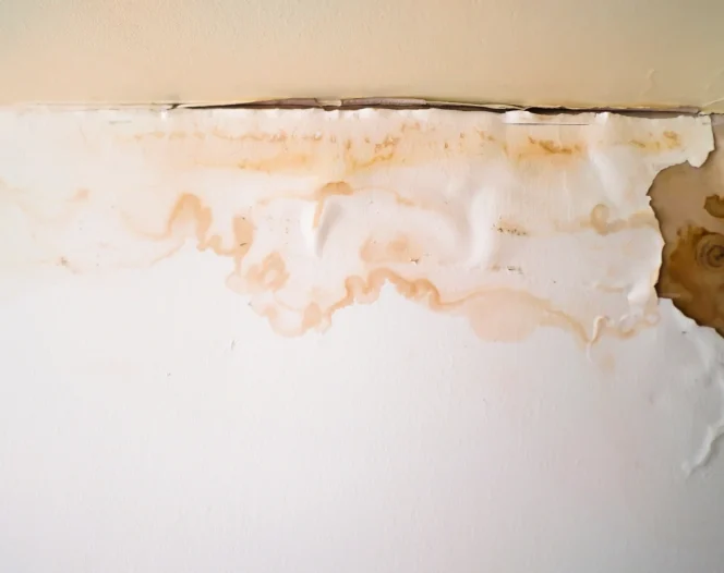 Water Damage Restoration in Lexington, KY 1
